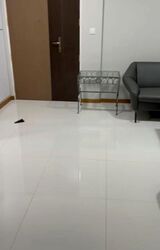 Blk 41A Skyoasis @ Dawson (Queenstown), HDB 2 Rooms #481653921